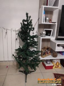 Albero di Natale distrutto dal gatto