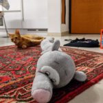 Gatto attacca peluche elefante paraspifferi